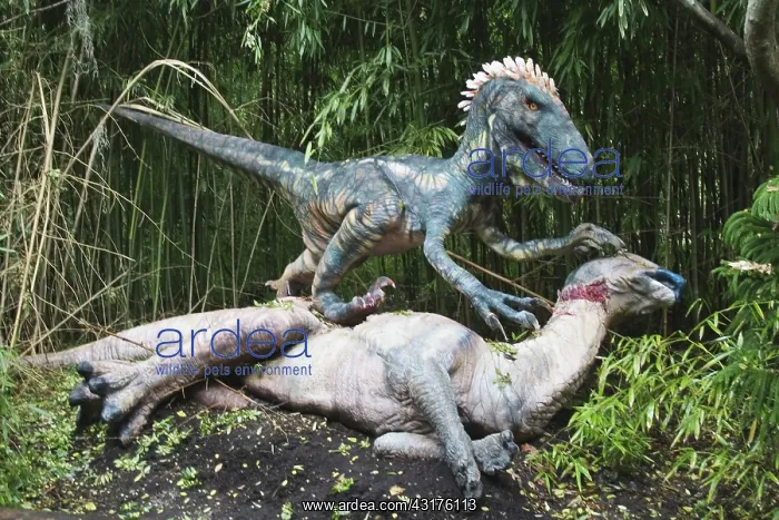 : Deinonychus Feeding on Parasaurolophus : Deinonychus Feeding on Parasaurolophus