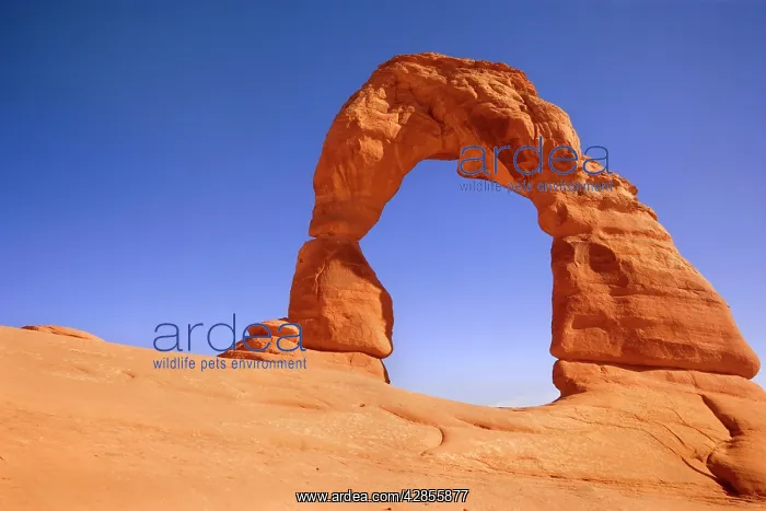 : Delicate Arch - delicately sculptured sandstone : Delicate Arch - delicately sculptured sandstone