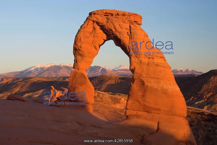 : Delicate Arch - delicately sculptured sandstone : Delicate Arch - delicately sculptured sandstone