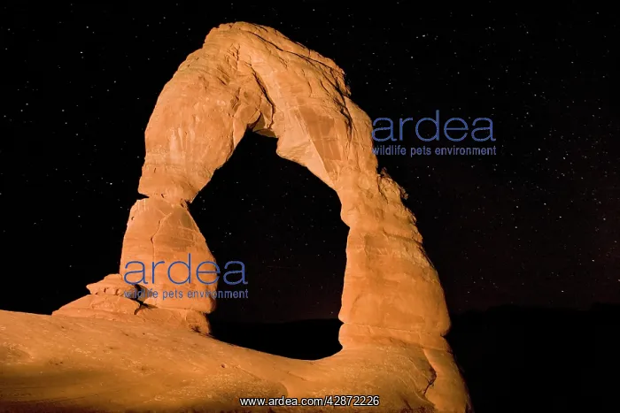  : Delicate Arch - probably the best-known natural