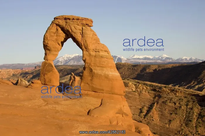 : Delicate Arch probably is the most famous sandstone : Delicate Arch probably is the most famous sandstone