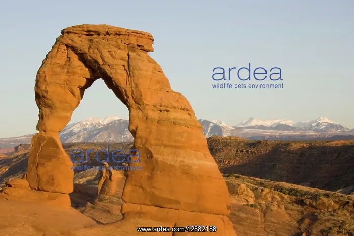 : Delicate Arch probably is the most famous sandstone : Delicate Arch probably is the most famous sandstone