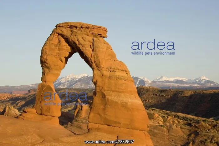 : Delicate Arch probably is the most famous sandstone : Delicate Arch probably is the most famous sandstone