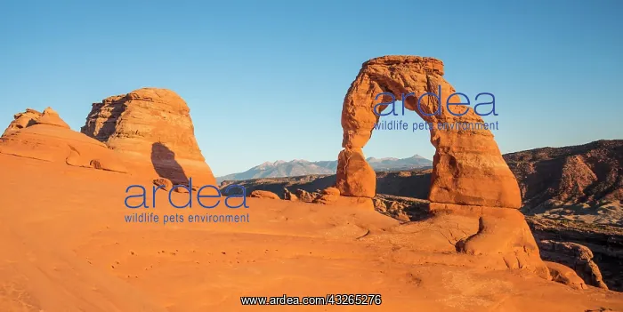 : Delicate Arch rock arch in the evening sun, Arches : Delicate Arch rock arch in the evening sun, Arches