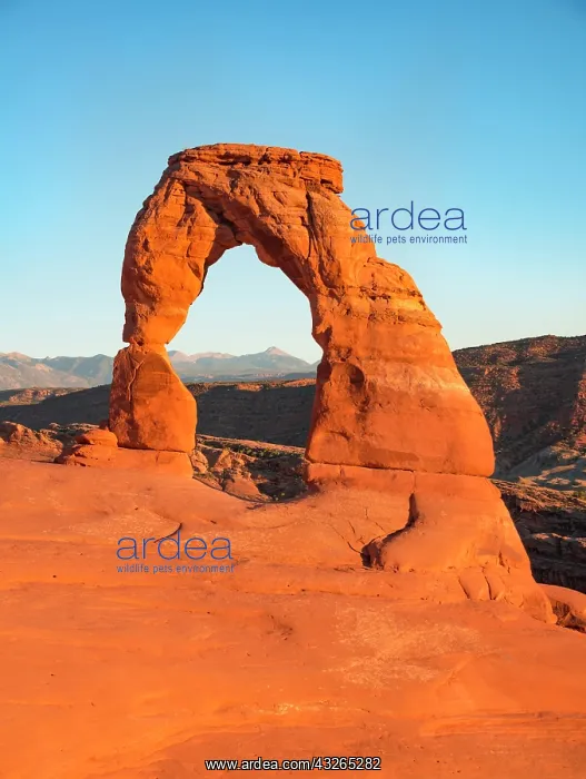 : Delicate Arch rock arch in the evening sun, Arches : Delicate Arch rock arch in the evening sun, Arches
