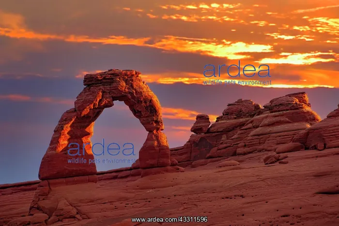  : Delicate Arch rock at sunset, Arches National Park