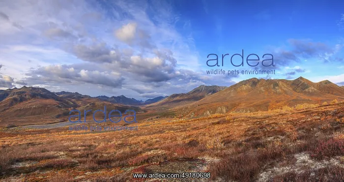 : The Dempster Highway climbs up to North Fork Pass : The Dempster Highway climbs up to North Fork Pass