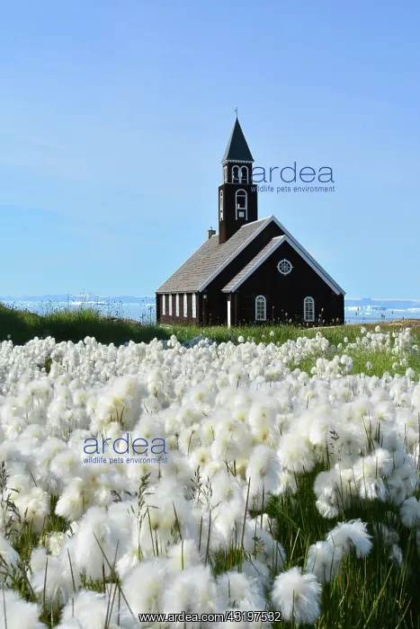 : Denmark. Greenland. West coast. The church of Ilulissat : Denmark. Greenland. West coast. The church of Ilulissat