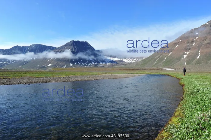: Denmark. Greenland. West coast. Disko island. Trek : Denmark. Greenland. West coast. Disko island. Trek