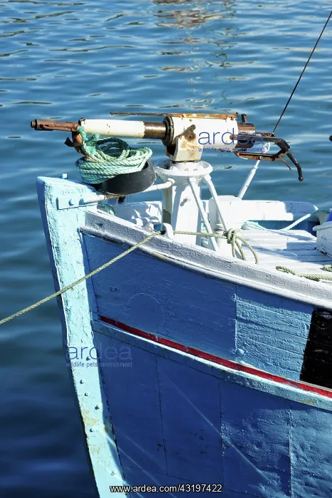 : Denmark. Greenland. West coast. The fishing harbour : Denmark. Greenland. West coast. The fishing harbour