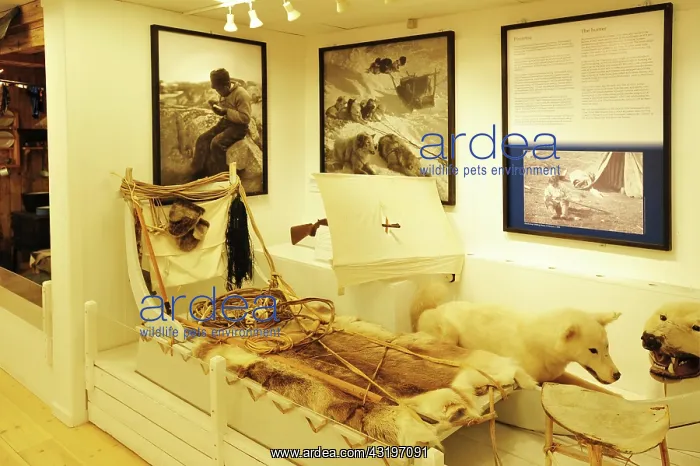 : Denmark. Greenland. West coast. The Inuit museum : Denmark. Greenland. West coast. The Inuit museum
