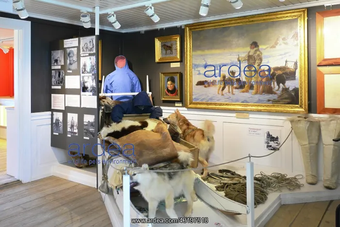 : Denmark. Greenland. West coast. The museum of Knud : Denmark. Greenland. West coast. The museum of Knud