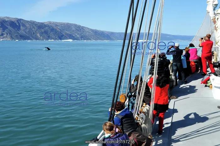 : Denmark. Greenland. West coast. Passengers of a : Denmark. Greenland. West coast. Passengers of a