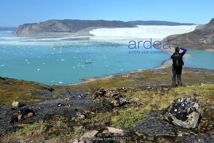 : Denmark. Greenland. West coast. Tourists looking : Denmark. Greenland. West coast. Tourists looking