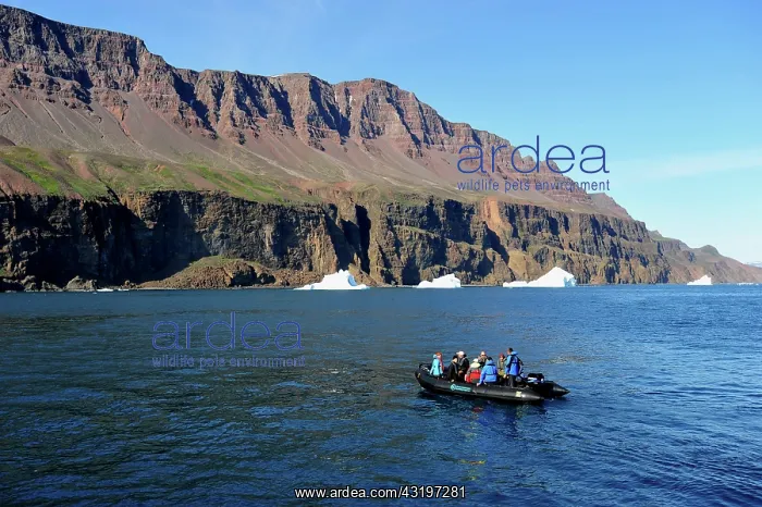 : Denmark. Greenland. West coast. Zodiac from a boat : Denmark. Greenland. West coast. Zodiac from a boat