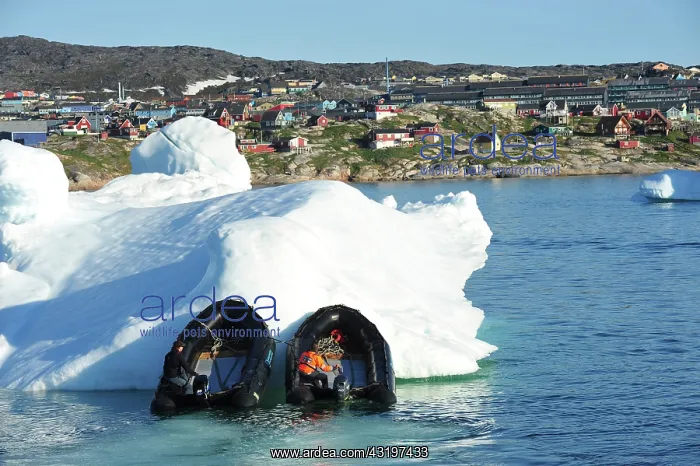 : Denmark. Greenland. West coast. Zodiacs pushing : Denmark. Greenland. West coast. Zodiacs pushing