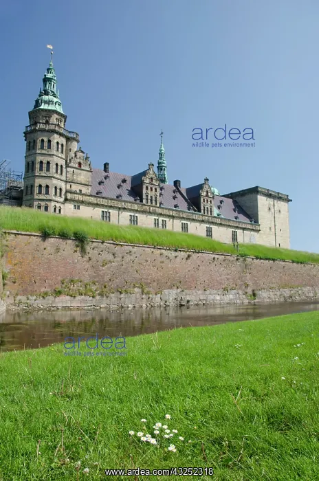 : Denmark, Helsingoer. Kronborg Castle (aka : Denmark, Helsingoer. Kronborg Castle (aka