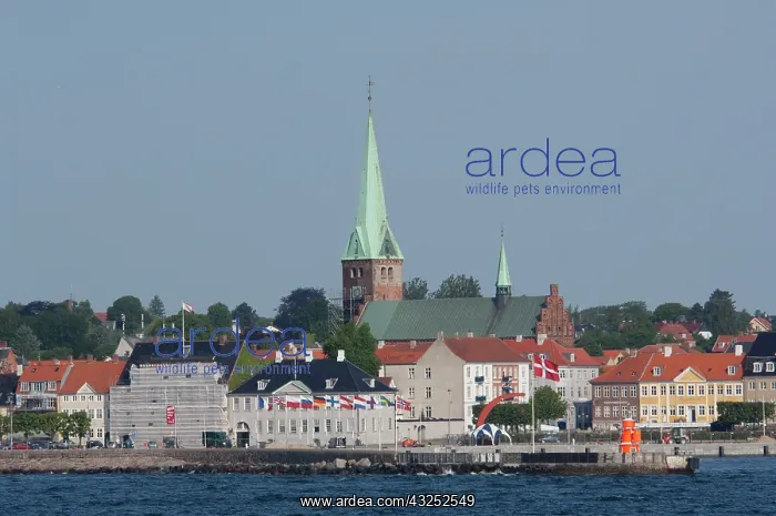 : Denmark, Helsingoer. North Sea view of the : Denmark, Helsingoer. North Sea view of the