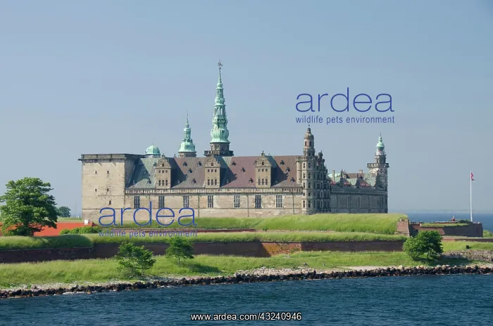 : Denmark, Helsingoer. North Sea view of Kronborg : Denmark, Helsingoer. North Sea view of Kronborg