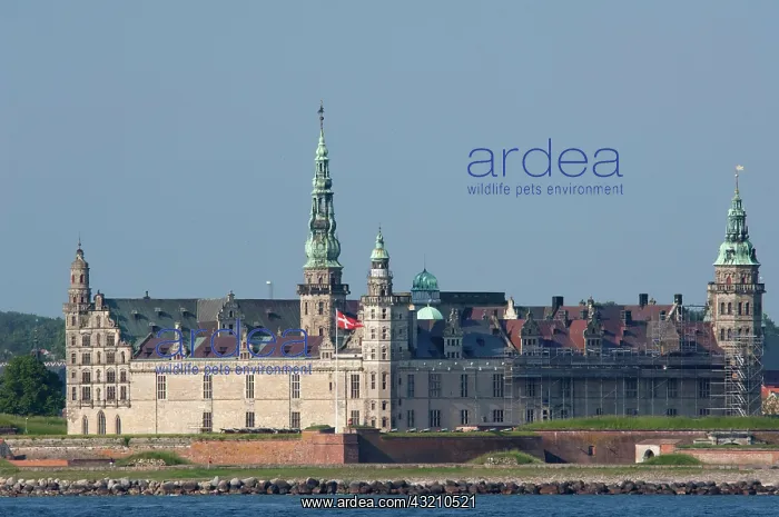 : Denmark, Helsingoer. Ocean view of Kronborg : Denmark, Helsingoer. Ocean view of Kronborg