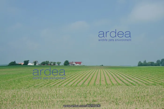: Denmark, Island of Bornholm. Countryside : Denmark, Island of Bornholm. Countryside