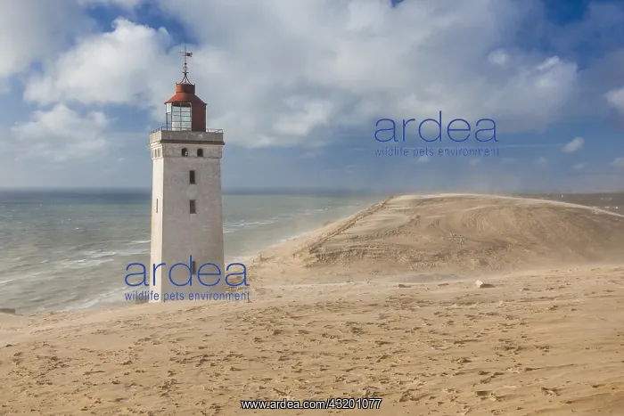 : Denmark, Jutland, Lonstrup, Rudbjerg Knude Fyr Lighthouse : Denmark, Jutland, Lonstrup, Rudbjerg Knude Fyr Lighthouse