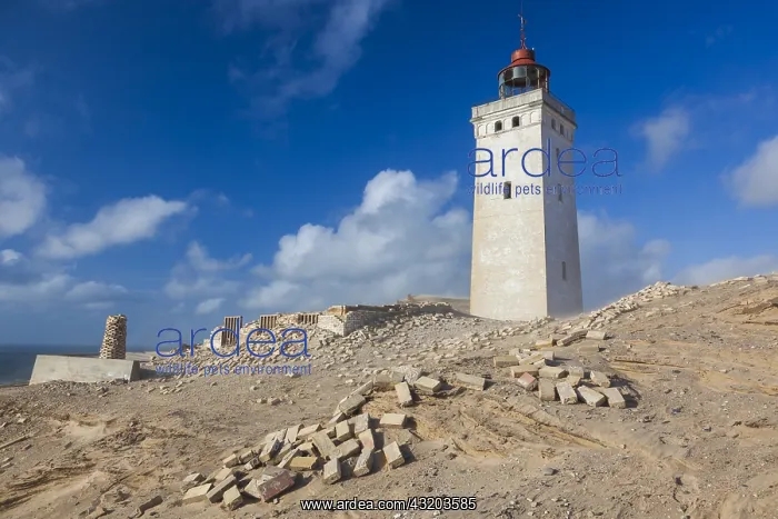 : Denmark, Jutland, Lonstrup, Rudbjerg Knude Fyr Lighthouse : Denmark, Jutland, Lonstrup, Rudbjerg Knude Fyr Lighthouse