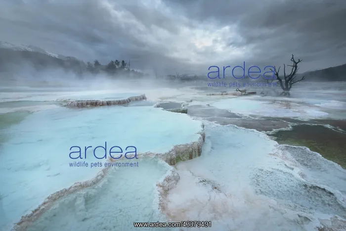 : Deposits of travertine colored by thermophilic bacteria : Deposits of travertine colored by thermophilic bacteria