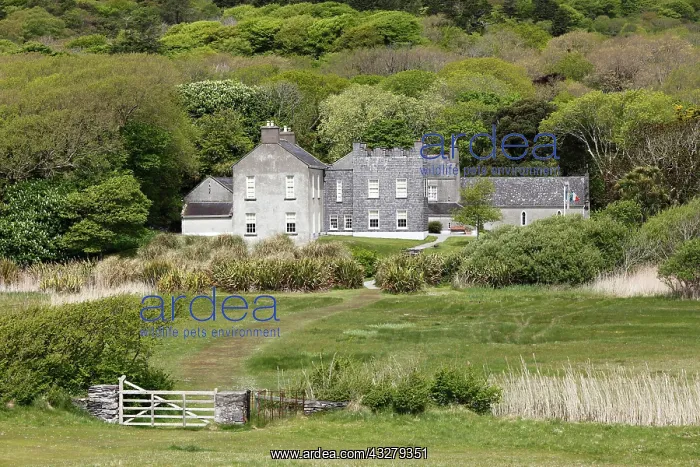 : Derrynane House, Derrynane National Park, Ring of