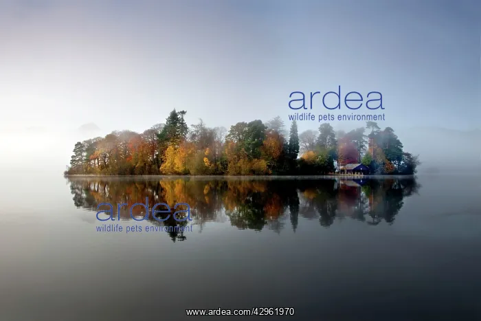  : Derwent Island - autumn reflections in derwent