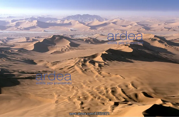  : DESERT - Aerial of Sand dunes