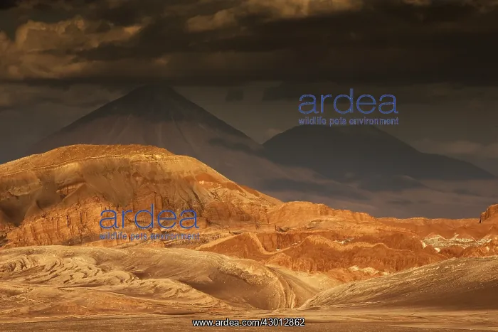 : Desert Atacama - Chile : Desert Atacama - Chile