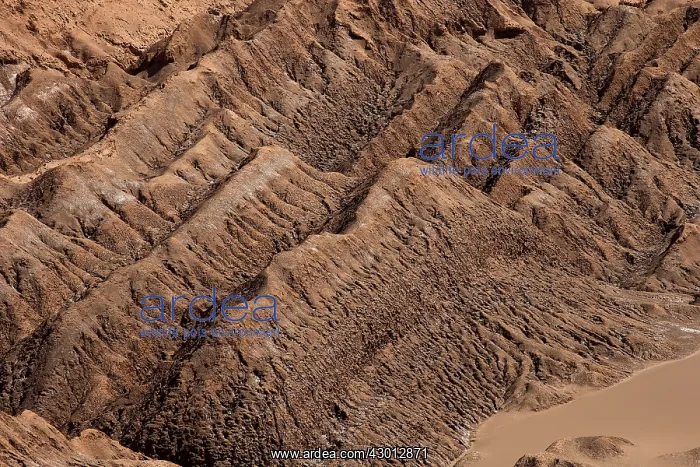 : Desert Atacama - Chile : Desert Atacama - Chile