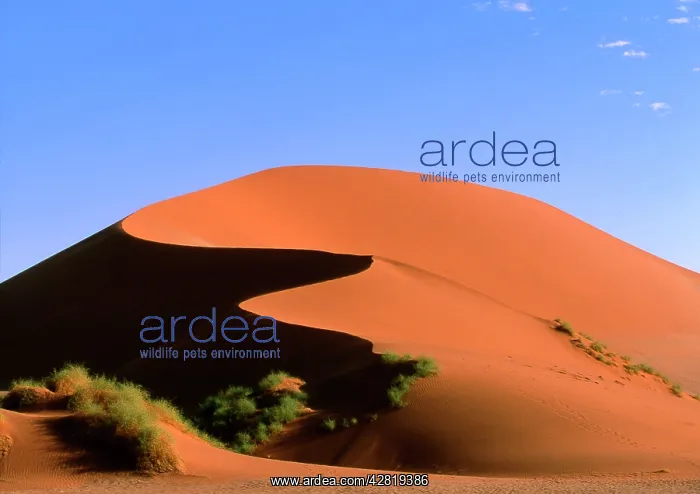  : Desert Dunes