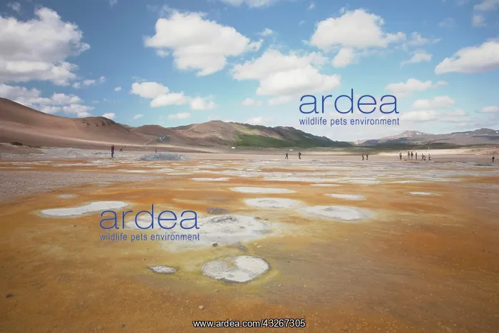 : Desert landscape above; boiling steam and : Desert landscape above; boiling steam and