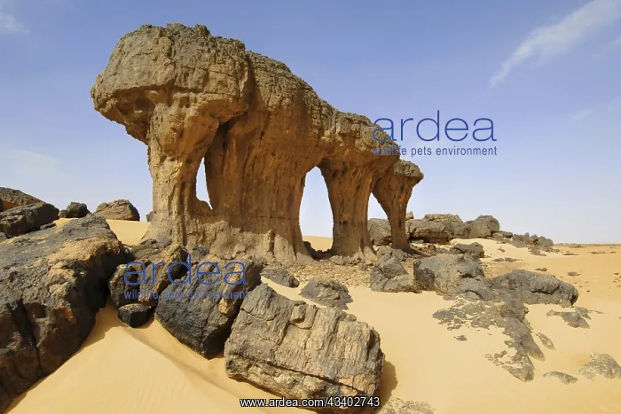 : Desert landscape, Tin Akascheker, Algeria, rock : Desert landscape, Tin Akascheker, Algeria, rock