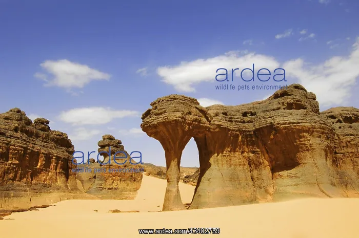 : Desert landscape, Tin Akascheker, Algeria, rock : Desert landscape, Tin Akascheker, Algeria, rock