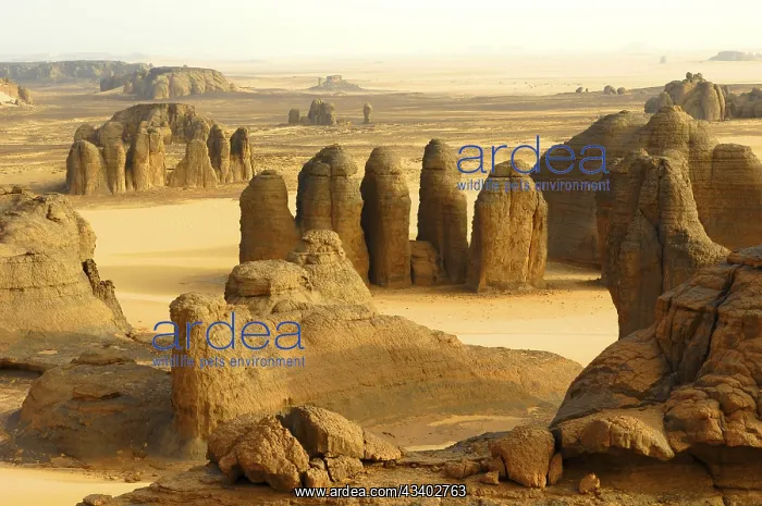 : Desert landscape, Tin Akascheker, Algeria, rock : Desert landscape, Tin Akascheker, Algeria, rock