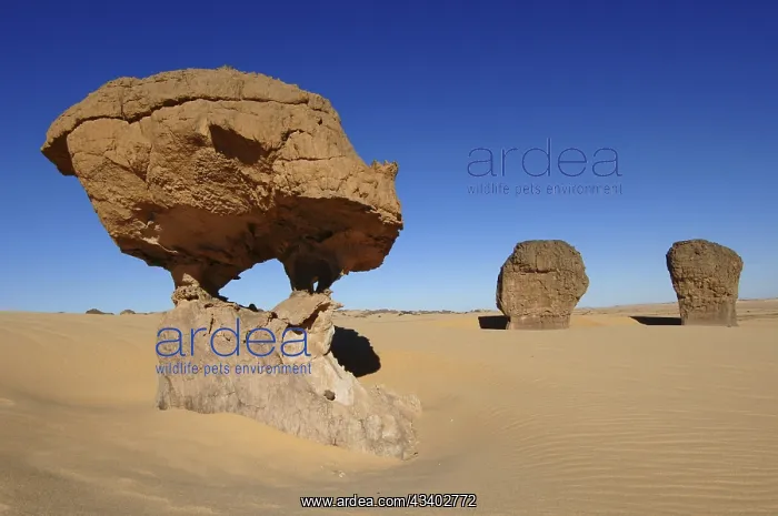 : Desert landscape, Tin Akascheker, Algeria, rock : Desert landscape, Tin Akascheker, Algeria, rock