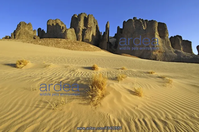 : Desert landscape, Tin Akascheker, Algeria, rock : Desert landscape, Tin Akascheker, Algeria, rock