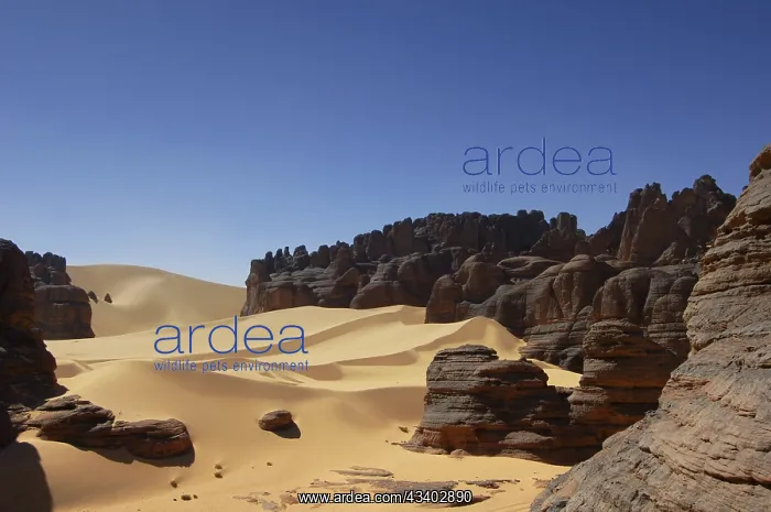 : Desert landscape, Tin Akascheker, Algeria, rock : Desert landscape, Tin Akascheker, Algeria, rock