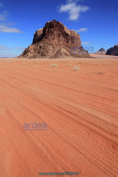 : Desert landscape in Wadi Rum, Jordan, Asia : Desert landscape in Wadi Rum, Jordan, Asia