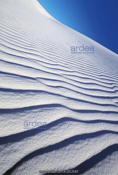 : DESERT - Sand pattern and moon white sands : DESERT - Sand pattern and moon white sands