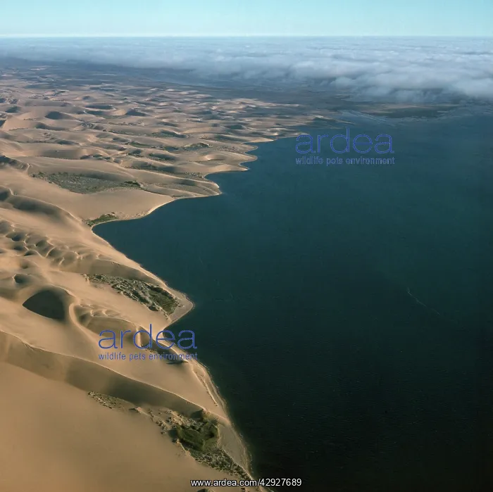  : Desert - sea mistcoast near sandwich Harbour