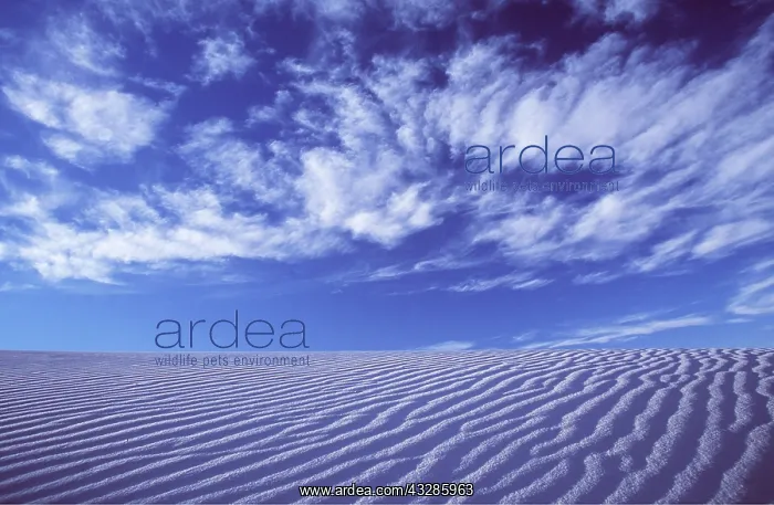 : DESERT - Sky, Clouds & Dunes : DESERT - Sky, Clouds & Dunes