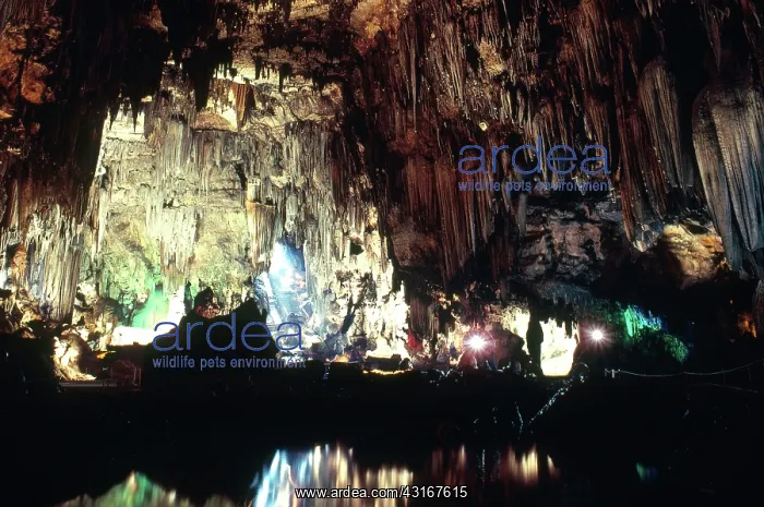 : DeSoto Caverns, Alabama : DeSoto Caverns, Alabama