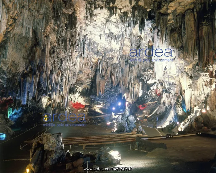 : DeSoto Caverns, Alabama : DeSoto Caverns, Alabama