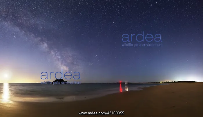  : Despite the presence of the big crescent Moon, the