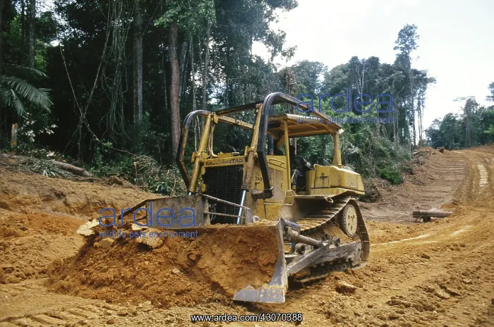: Destruction of Amazon rainforest, Suriname : Destruction of Amazon rainforest, Suriname