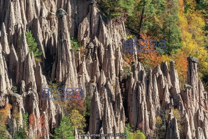 : Detailed picture of the famous earth pyramids near : Detailed picture of the famous earth pyramids near